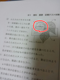 中学校で一番がんばったことについて面接 書いてみました これでいい Yahoo 知恵袋