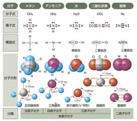 不死鳥 と 鳳凰 とはどう違いますか Yahoo 知恵袋