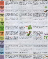 中一です 今度の期末試験でケッペンの気候区分 高山気候について出題 Yahoo 知恵袋