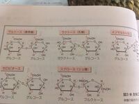 スクロースのグルコースとフルクトースがありますがなぜフルクトースの Yahoo 知恵袋