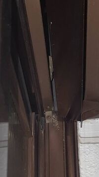 写真のように 窓の隙間にハチの巣のようなものができているのですが これは何か Yahoo 知恵袋