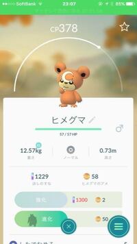 ポケモンgoについてリングマをガチグマに進化できません もう進化できないの Yahoo 知恵袋