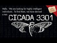 Cicada シケイダ 3301 について質問です ネットユーザ Yahoo 知恵袋