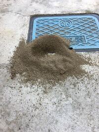 家の近所のコンクリートのところに蟻塚のようなものが出来ていましたが 害は無いでし 教えて 住まいの先生 Yahoo 不動産