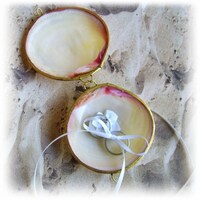 大きい二枚貝で作った小皿です小物入れ等で