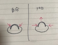 アクリルスカルプのピンチ入れについて自分でスカルプを付けると爪のサ Yahoo 知恵袋