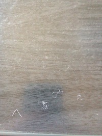 清酒白鶴まるのおいしい飲み方おしえてください初めて買ったのです Yahoo 知恵袋