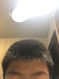 髪質についてです 自分の髪質はまっすぐ上に伸びる直毛で伸ばしても Yahoo 知恵袋