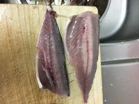 サバは釣れたら血抜きしはらわたとらないといけませんか サビキ Yahoo 知恵袋