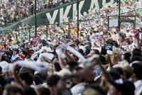 高校野球のタオル回し禁止どう思いますか 個人的にはタオル回しはアリだと思って Yahoo 知恵袋