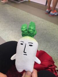この大根のキャラクターってアニメのキャラですか 知っているな Yahoo 知恵袋