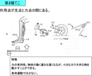 第二種テコについて教えてください Http Www Tm Yahoo 知恵袋