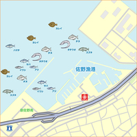 佐野漁港で釣りをする時はどこに車を駐車すればいいんでしょうか 大阪府泉佐野市 Yahoo 知恵袋