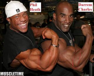 このmr オリンピアのphilheath 左 よりも腕橈骨筋と上腕 Yahoo 知恵袋