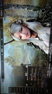 Pc版skyrimのenhancedcharacteredit Mo Yahoo 知恵袋