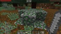 Minecraftps版の質問です 所々に苔の生えた石レンガがあるのです Yahoo 知恵袋