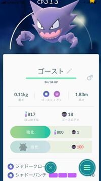 ポケモンの努力値振りついてです 画像のようにミミッキュのシャドークローがラウド Yahoo 知恵袋