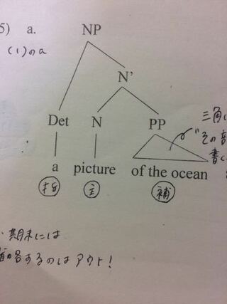 言語学の質問です この樹形図の三角の部分 Oftheocea Yahoo 知恵袋