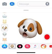 Iphonexのアニ文字に出てくるこの犬の原型となった犬の種類は何ですか Yahoo 知恵袋