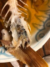 これは寄生虫ですか アカハタを釣り 煮付けにして食べたのですが尻尾の方 Yahoo 知恵袋