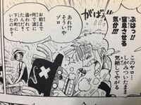 Onepieceで ゾロの顔面にチョッパーがしがみついて窒息しそうになって Yahoo 知恵袋