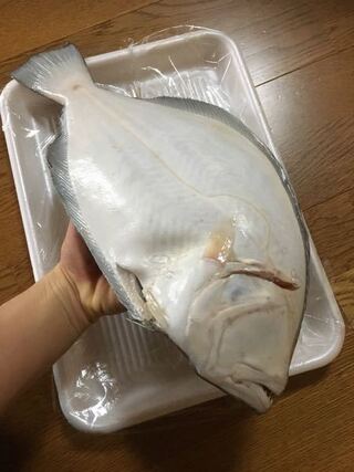 ヒラメの値段について 先程市場でヒラメを購入しました 約45cm １キロ Yahoo 知恵袋