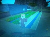 マイクラのサトウキビはこれで効率よく育ちますか 土で植えても砂で植えて Yahoo 知恵袋