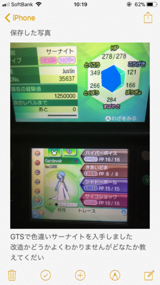 タイプヌル 色違い 改造