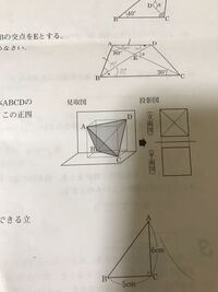 大きなピラミッド／正三角錐(せいさんかくすい) | ENGAGING TOYS