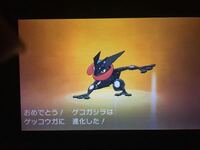 ポケモンでサトシゲッコウガの色違いを持っている人って改造しているんですかね Yahoo 知恵袋