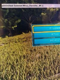 Ps4のarkで管理者コマンドが使えません シングルプレイで管理者コ Yahoo 知恵袋