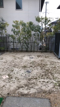 庭が苔でいっぱいに 困ってます 中古 ほとんど未入居 で家を Yahoo 知恵袋
