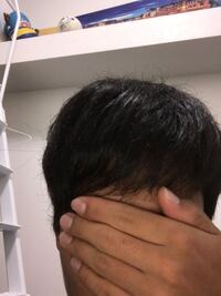 250枚 硬毛軟毛見分け方教えてください 自分は以前ま Yahoo 知恵袋