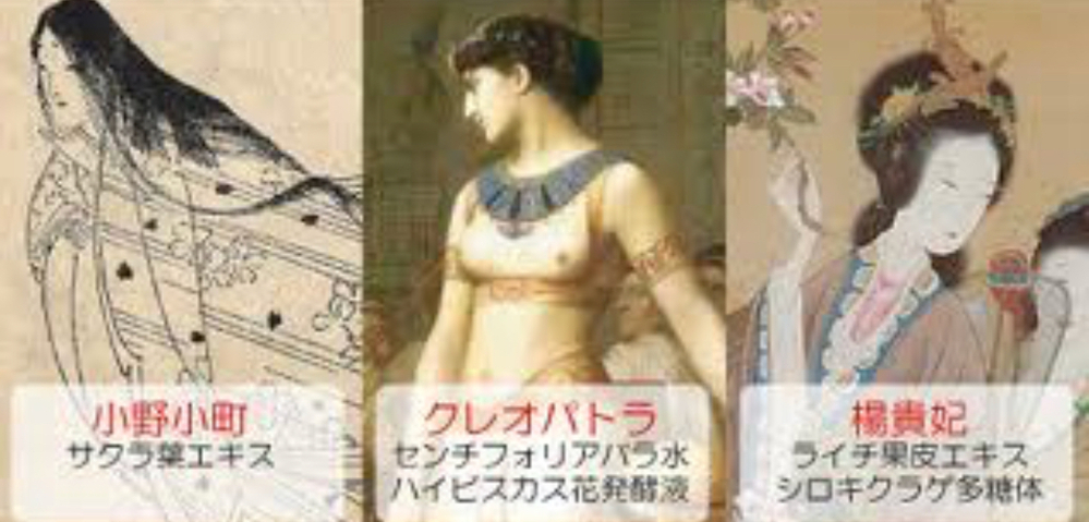 世界三大美女の国はどこですか？