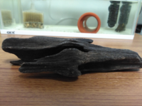 爬虫類のレイアウトに海で拾った流木を使いたいのですが 何か処理 Yahoo 知恵袋