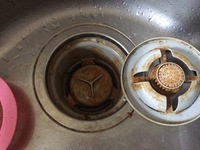 排水溝汚れ 閲覧注意 それほど掃除をサボっていないのに排水溝がすぐにこのよう Yahoo 知恵袋