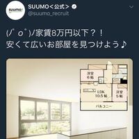 1kに猫と暮らしたら狭くて可哀想ですか 洋室6帖 K3 5帖で Yahoo 知恵袋