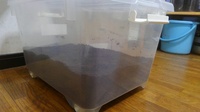 ケツ毛バーガー流出事件について くわしく教えてください 画像なんか Yahoo 知恵袋