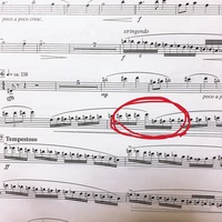 アルトサックスで輝きの海へという曲を吹くのですが 指回しで画像の丸をしている Yahoo 知恵袋