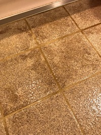 浴室の床に落とせない汚れがあります 石のフロアなんですが 黒ずみがあり いくらブ 教えて 住まいの先生 Yahoo 不動産