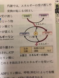 本気で質問です真顔 あういえお って何ですか あいうえお Yahoo 知恵袋