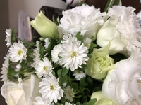 どなたかこの菊のような白い花と緑がかった白のバラの名前をご存知の方 Yahoo 知恵袋