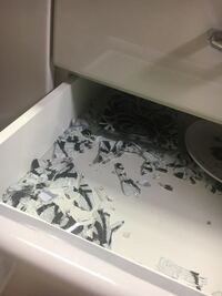 食器が爆発 気分転換に食器をキッチンペーパーで綺麗に拭いていましたそして Yahoo 知恵袋