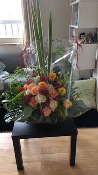 今の時期でも花屋さんでひまわりは売っているのでしょうか 切り花のヒマワ Yahoo 知恵袋