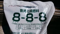 甘いスイカの作り方を教えてください 毎年作っていますがまずまずの Yahoo 知恵袋