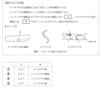 画像の問題 生物基礎 についてですイシクラゲの細胞が オオカナ Yahoo 知恵袋