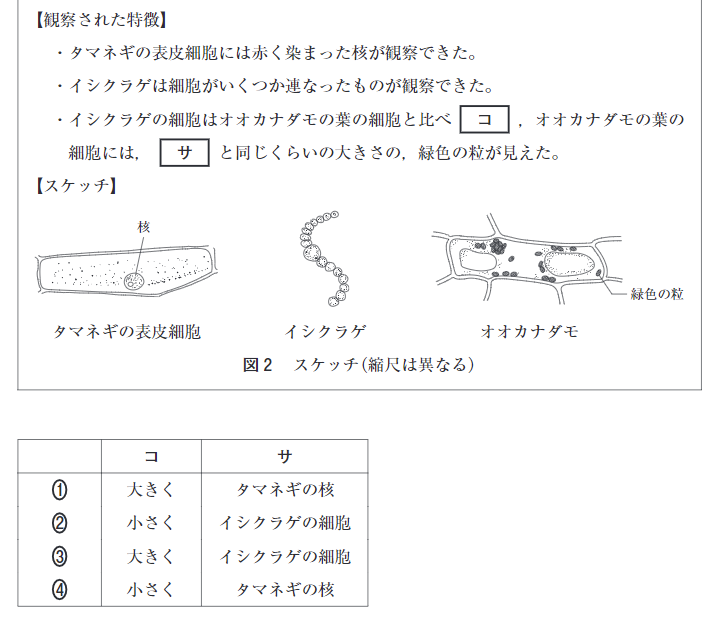 画像の問題 生物基礎 についてですイシクラゲの細胞が オオカナダモ Yahoo 知恵袋