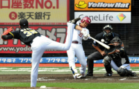 犬について初対面でも 手や顔を舐められたら 懐かれたと思って良 Yahoo 知恵袋