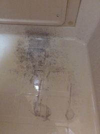 先日 トイレの後ろの壁がカビだらけだったので カビキラーをかけて掃除をしたの Yahoo 知恵袋