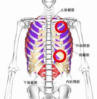 胸骨 押す と 痛い